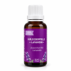 100% naturalny olejek eteryczny Lavandin 30 ml na białym tle