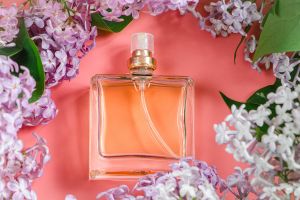 Jak dobrać perfumy do osobowości – poradnik z serca Prowansji
