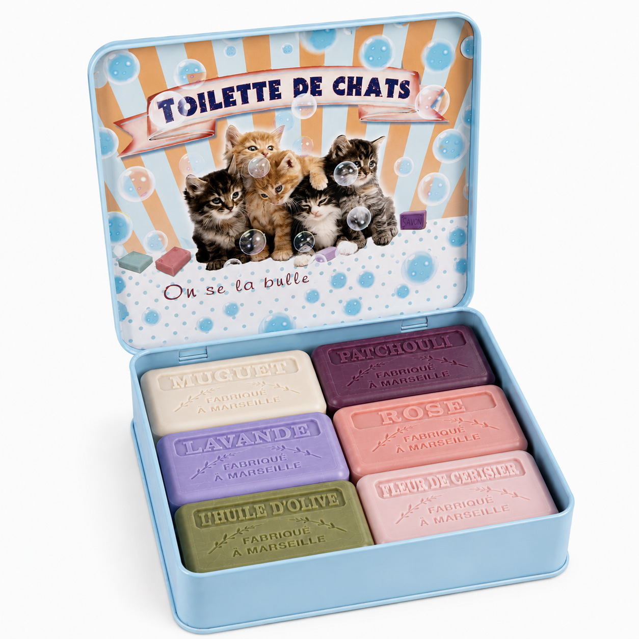 Coffret BSAV5CHATS